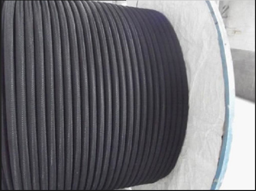Sortie actuelle flexible d'anode de polymère conducteur d'ICCP 52ma/M pour les réservoirs de stockage de pétrole souterrains